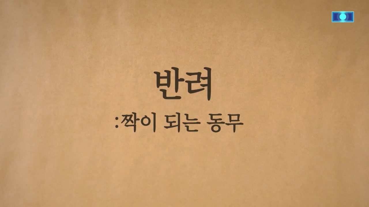 TV 동물농장.E1140.231009p-NEXT.mp4_20231008_174814.092.jpg