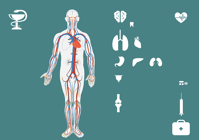 몸에 붓기가 생김