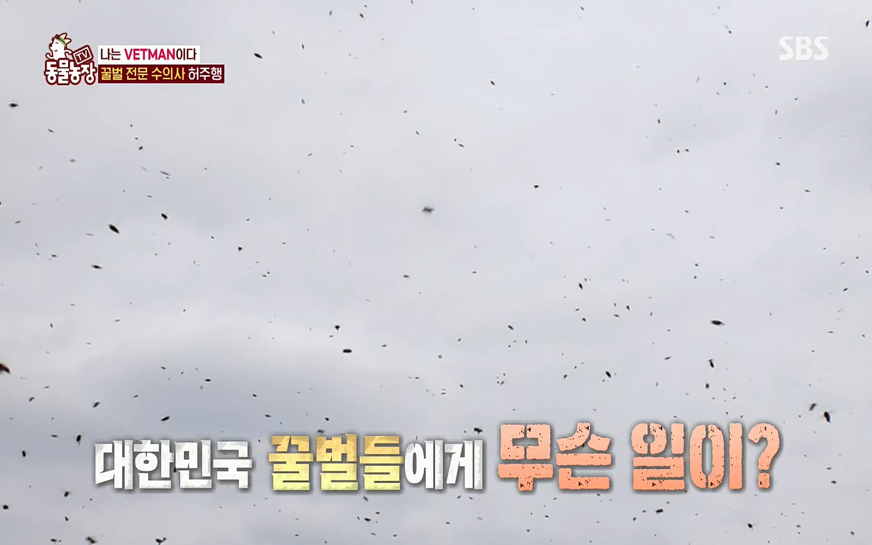 TV 동물농장.E1072.220605p.H264-F1RST.mp4_20220605_181443.324.jpg