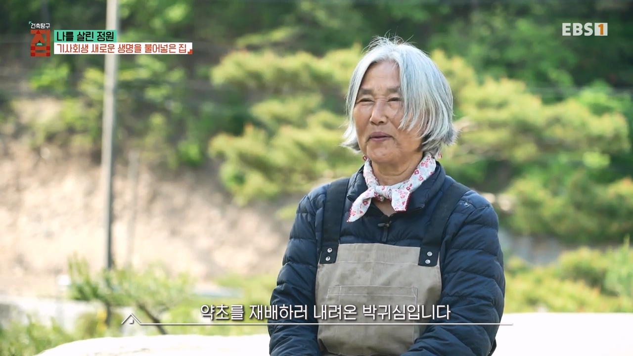 TV - 전 국민의 평생학교 EBS나를 살린 정원.mp4_20230814_210526.249.jpg