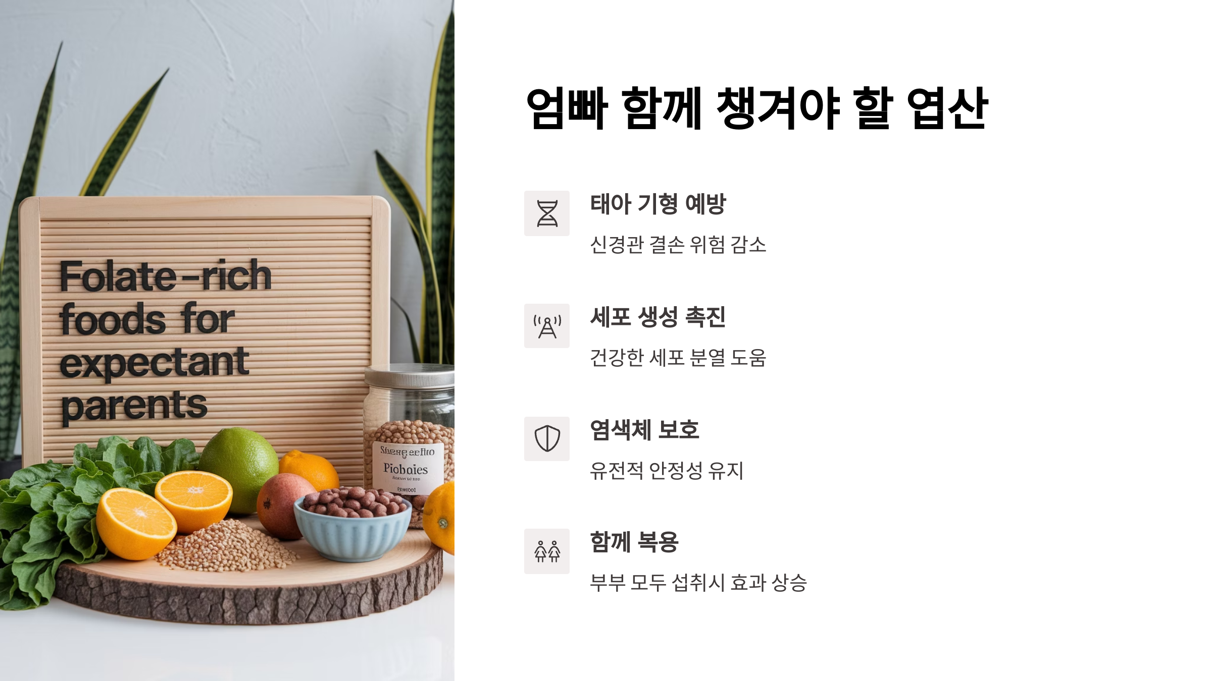 임신 준비 영양소 – 엽산의 기형 예방 효과
