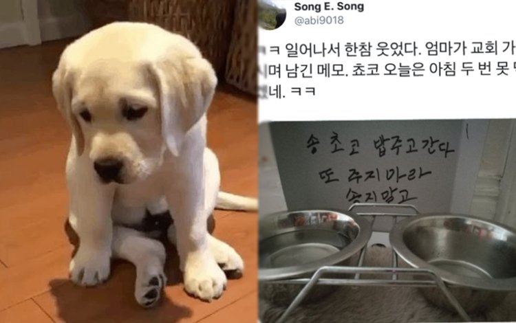   뚜뚜월드