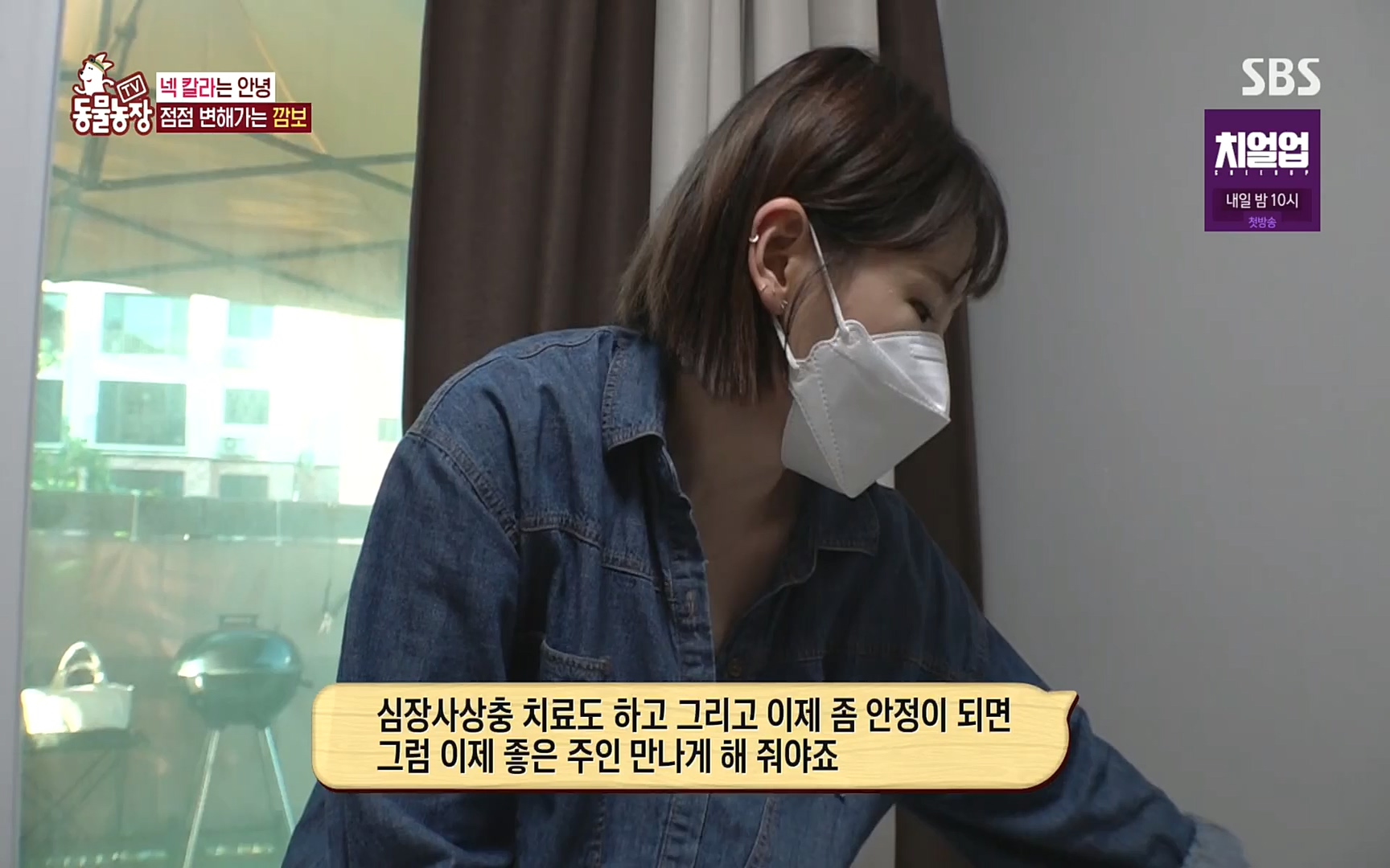 TV 동물농장.E1089.221002p.H264-F1RST.mp4_20221002_181938.269.jpg
