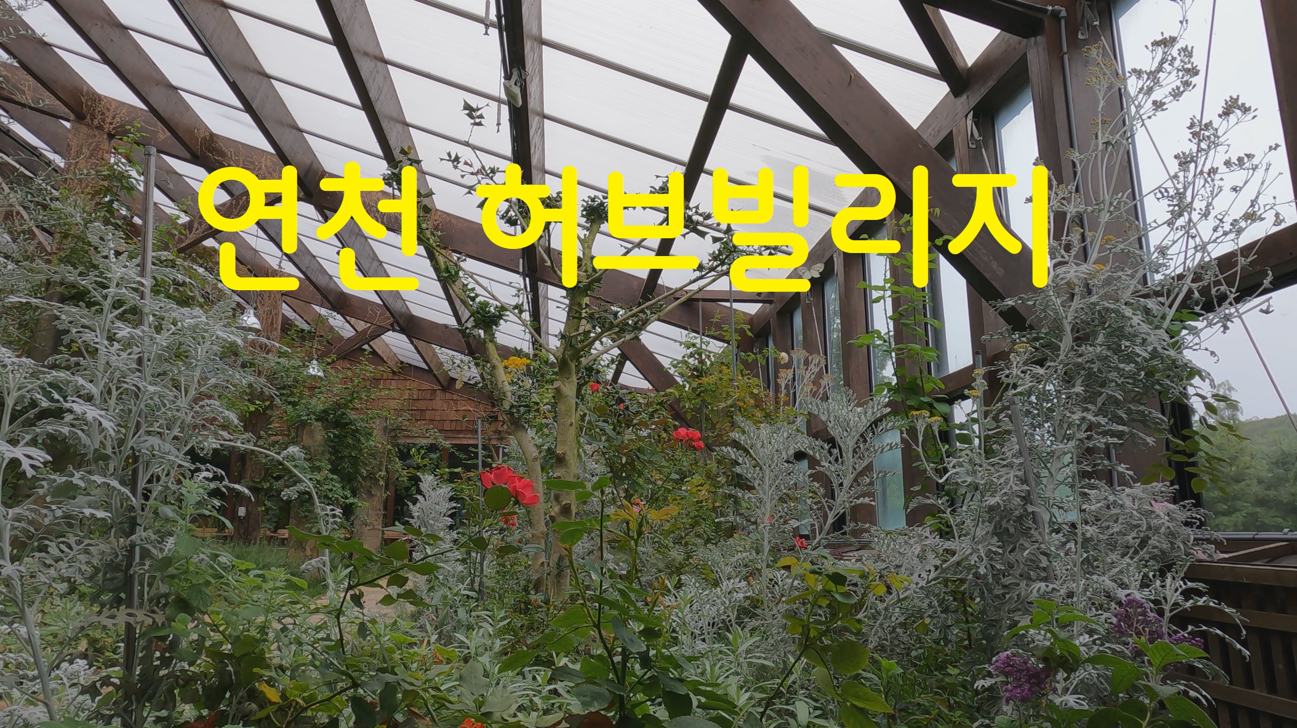  연천 허브빌리지