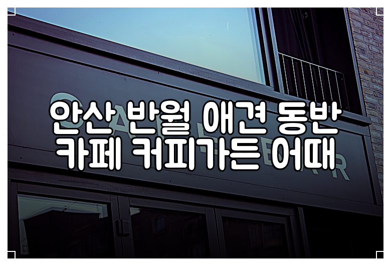 안산 반월 애견 동반 카페 커피가든 어때