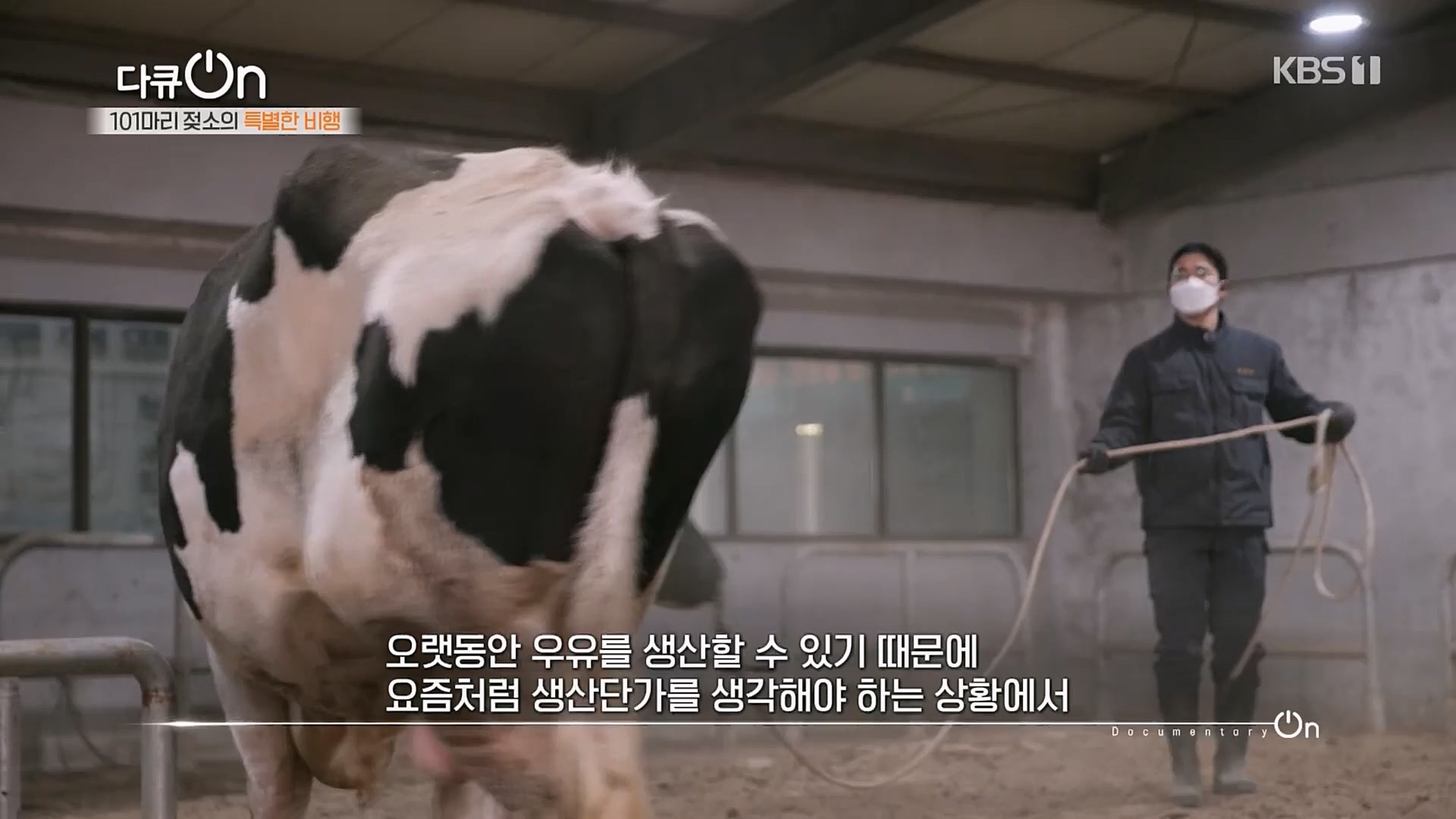 다큐 On.E184.230203p.H264-F1RST.mp4_20230211_175646.711.jpg