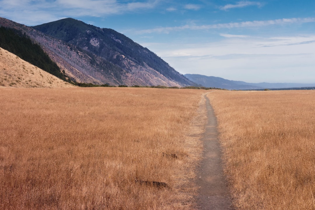 Trail