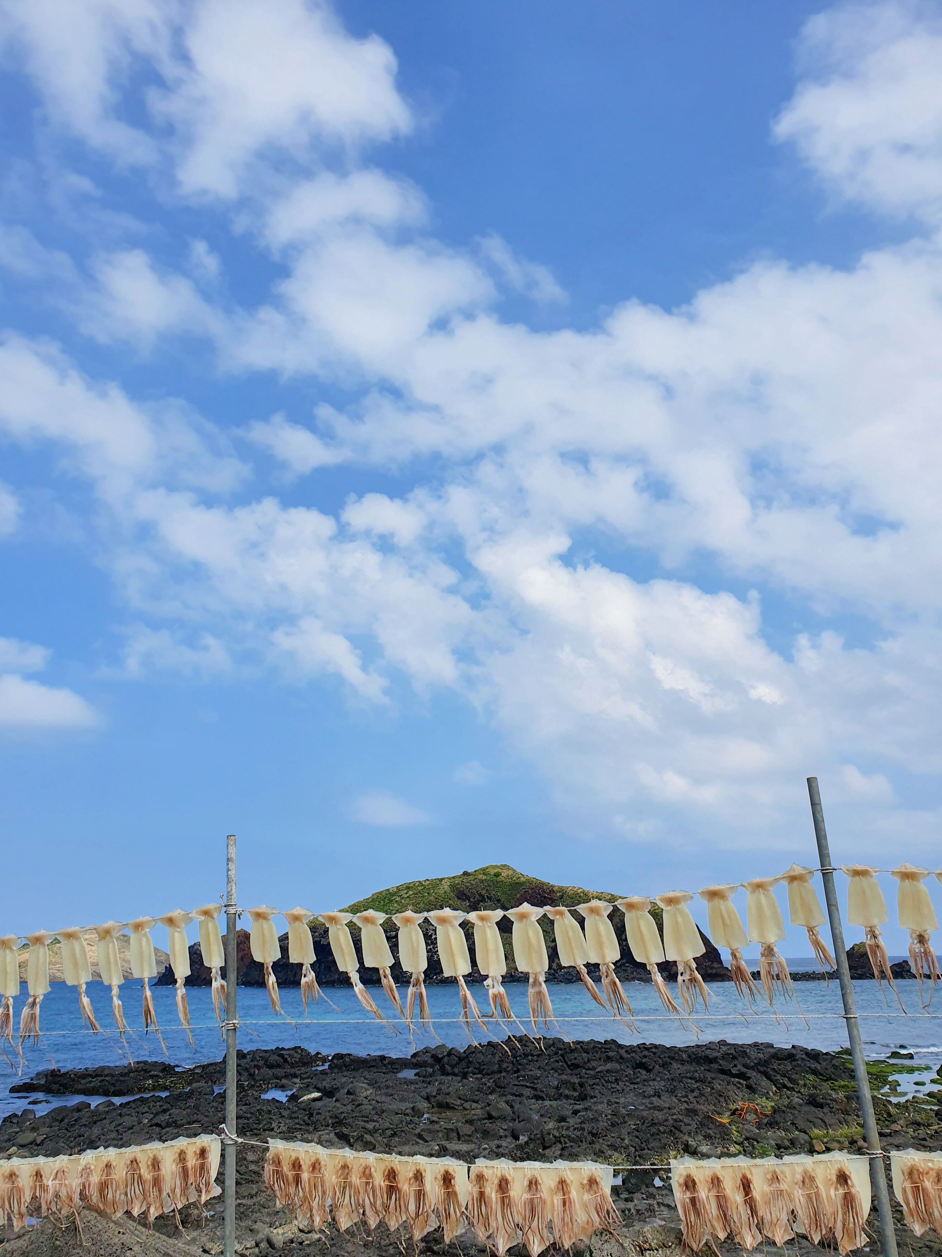  #2일차 제주도 서쪽->동쪽 3박4일 여행 코스 추천 (차귀도 고등어 배낚시/노루생태공원/만장굴/김녕 해수욕장)
