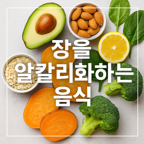 장을 알칼리화하는 음식 썸네일 이미지