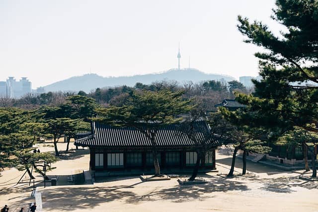 조식