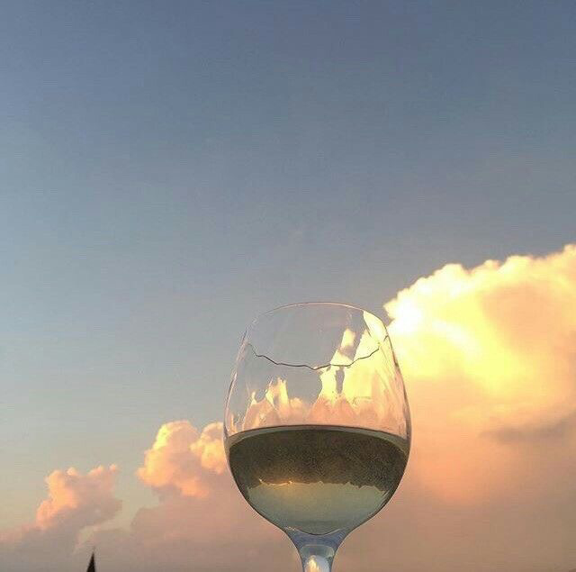  한 가지 발차기를 천 번을 차면, 안산 언니는 안산에 안산 다