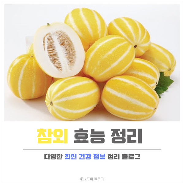  참외 효능 정리