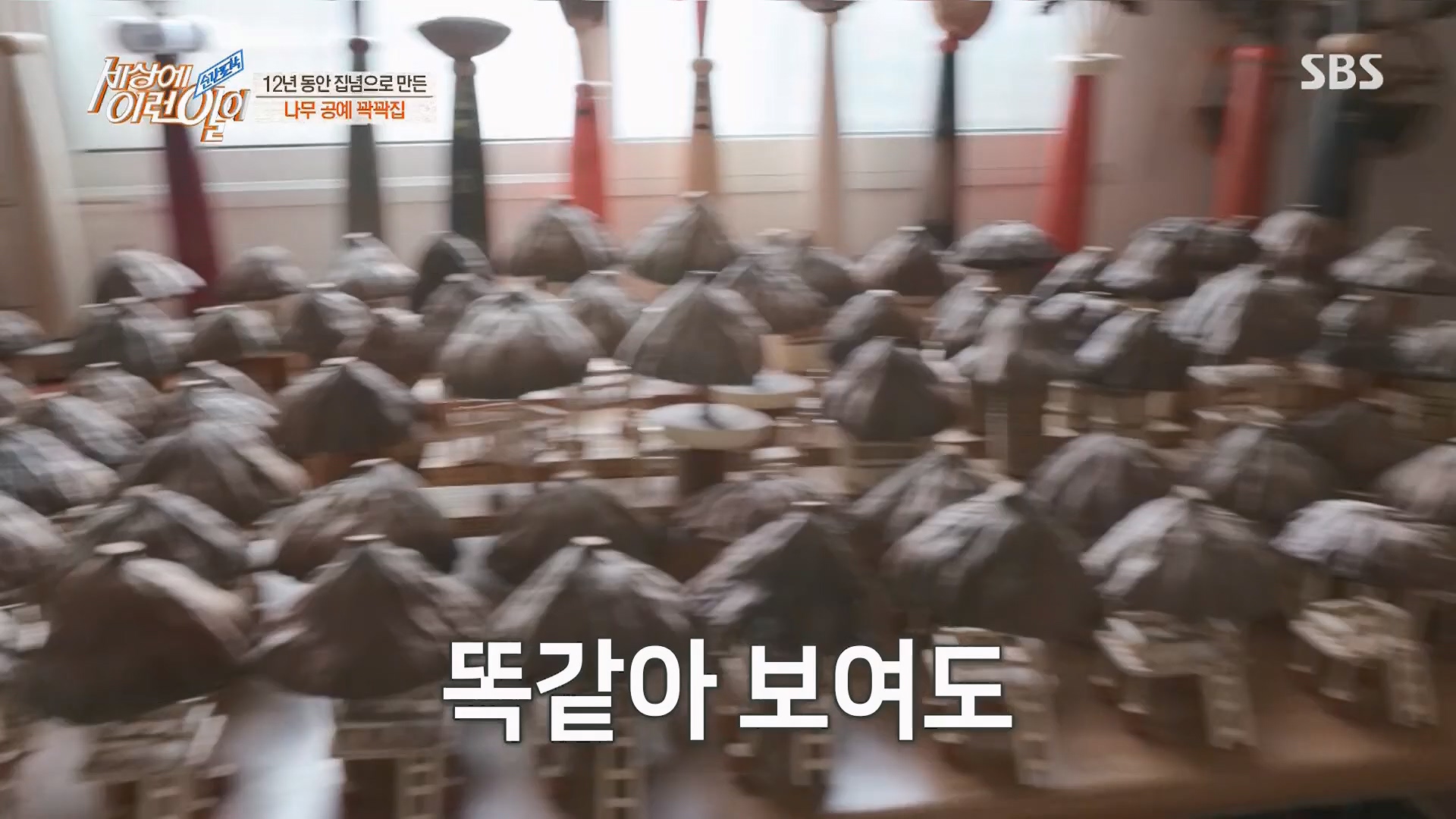 순간포착 세상에 이런일이.E1230.230516p.H264-F1RST.mp4_20230517_193656.142.jpg