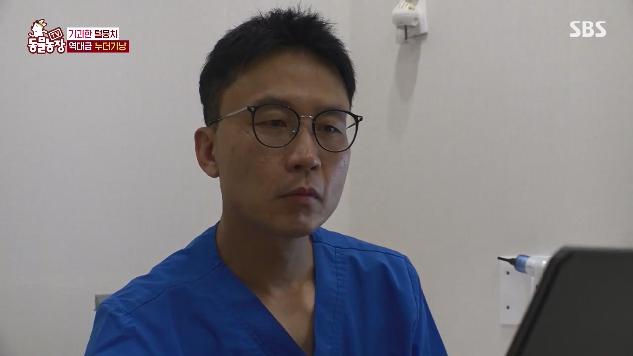 TV 동물농장.E1143.231030p-NEXT.mp4_20231029_164108.536.jpg