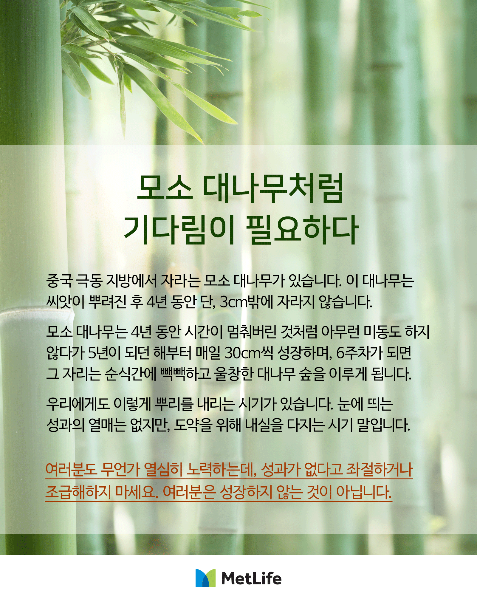  모소 대나무처럼 기다림이 필요하다.(2021. 05. 07)