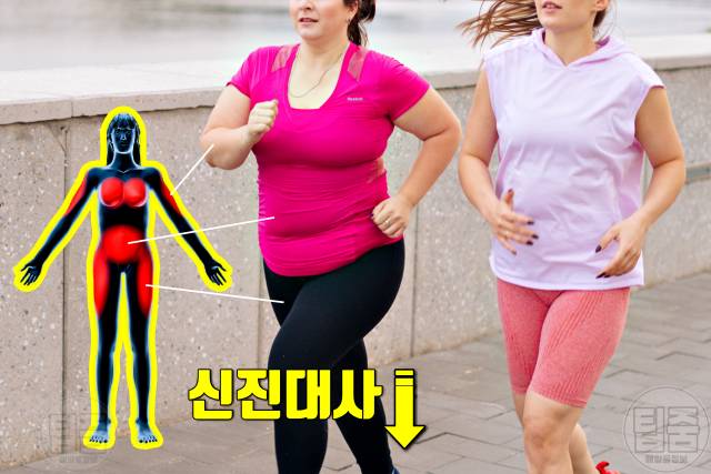 나잇살 찌는 이유 나이살 얼굴 뱃살 팔뚝살 신진대사