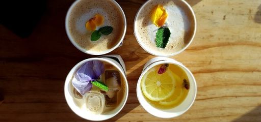콤부차-효능-6