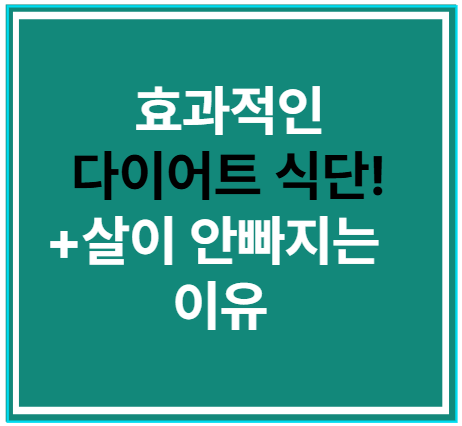 효과적인 다이어트 식단! + 살이 안빠지는 이유