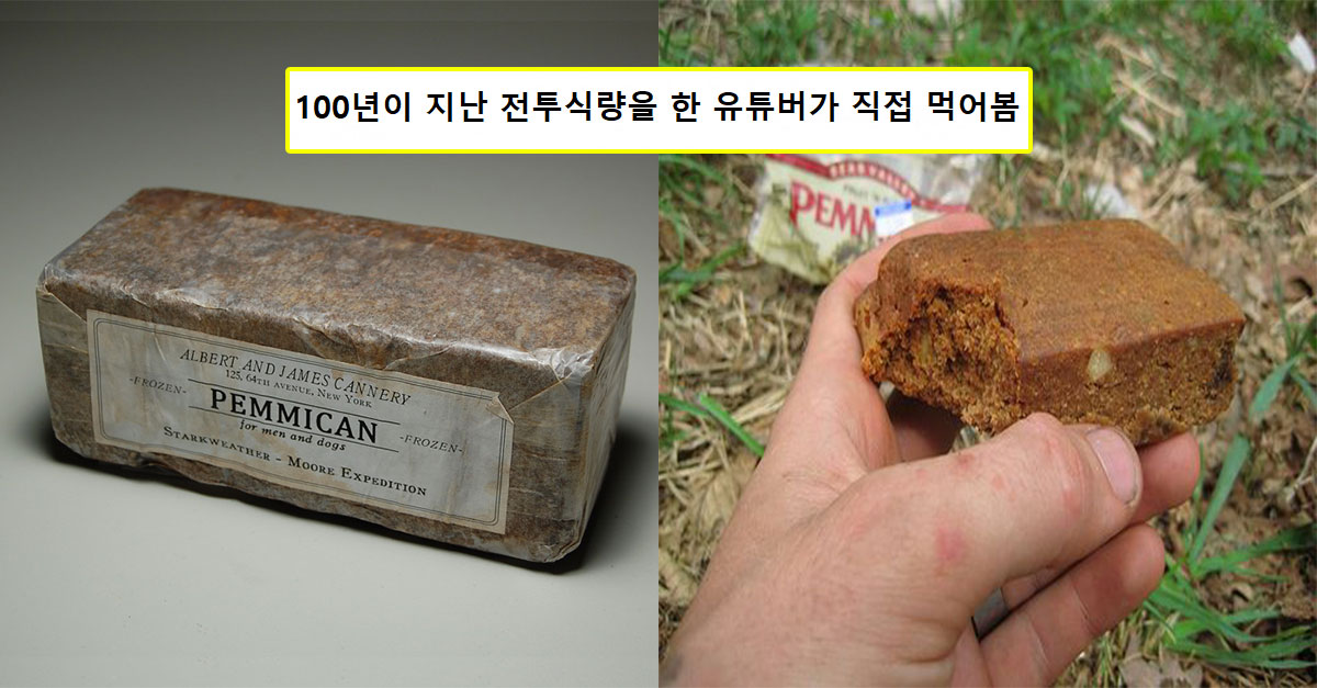  100년이 지난 전투식량을 먹은 유튜버에게 생긴 일