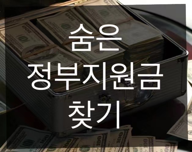  숨은 정부지원금 찾기