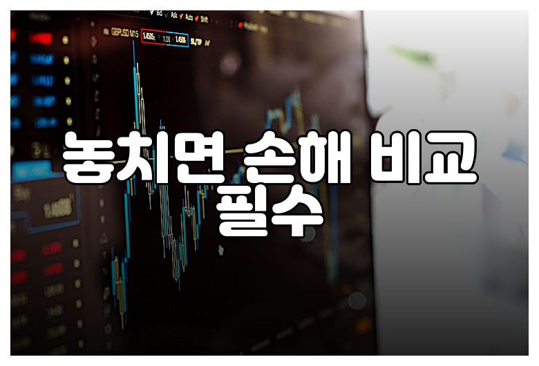놓치면 손해 비교 필수