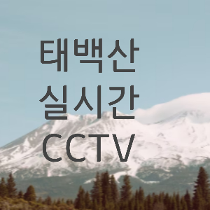 태백산 CCTV