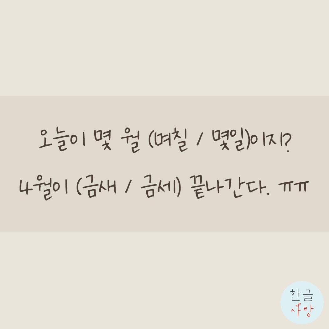  가장 틀리기 쉬운 맞춤법 '며칠, 금세'