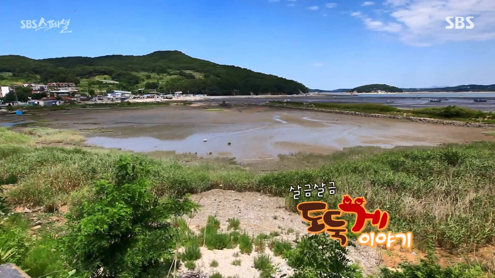 일요특선 다큐멘터리.E344.240310p-NEXT.mp4_20240310_154626.338.jpg