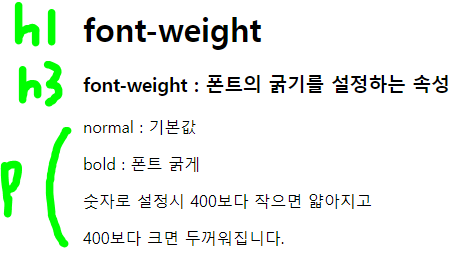  CSS _폰트(font)_font-weight