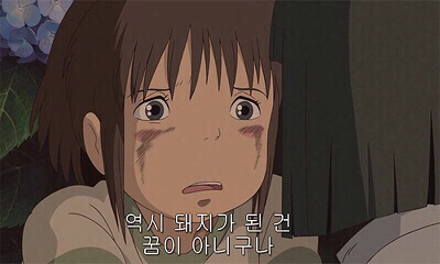  역시 돼지가 된 건 꿈이 아니구나