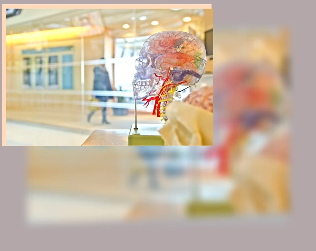 두뇌 발달 식단_3_subsection