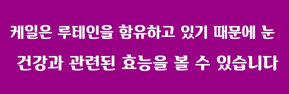 케일은 루테인을 함유하고 있기 때문에 눈 건강과 관련된 효능을 볼 수 있습니다