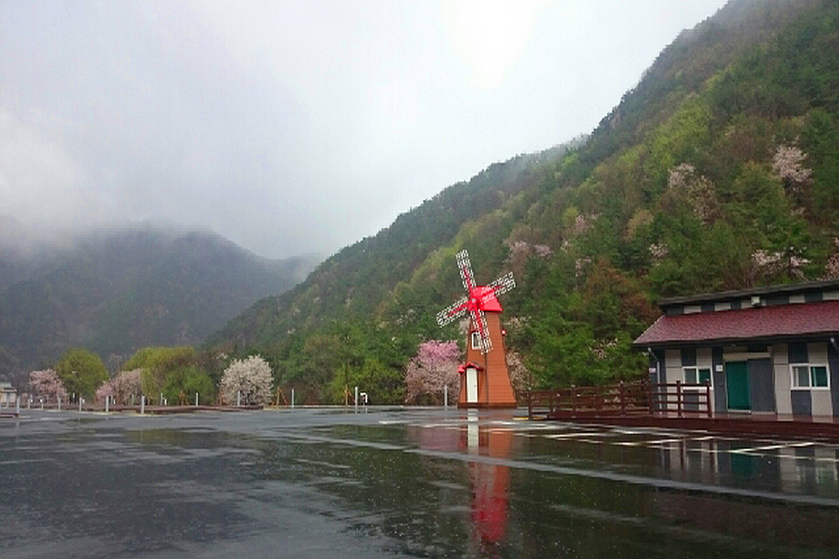 금산 산벚꽃마을 오토캠핑장
