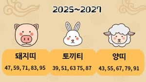 2025년-삼재띠
