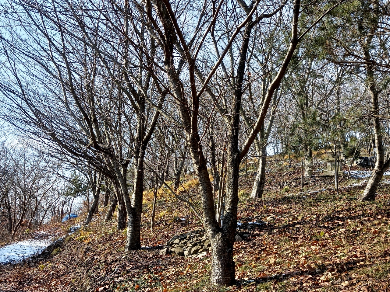 img.jpg