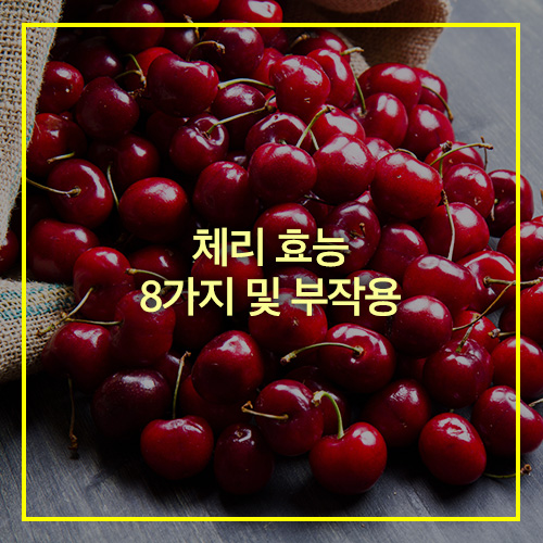 체리 효능