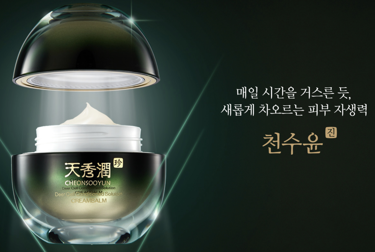  천수윤진 크림 가격