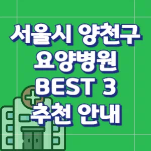 서울시-양천구-요양병원