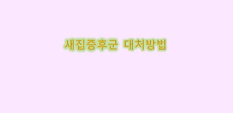  새집증후군 증상 및 대처방법