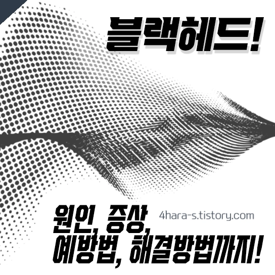 -블랙헤드-메인이미지-