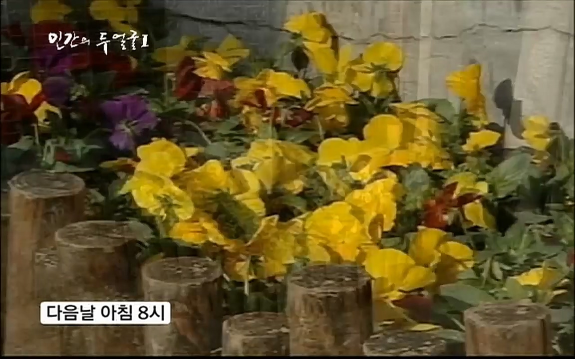 EBS 다큐프라임 - Docuprime, 인간의 두 얼굴 제2부 사소한 것의 기적.mp4_20220327_150013.434.jpg