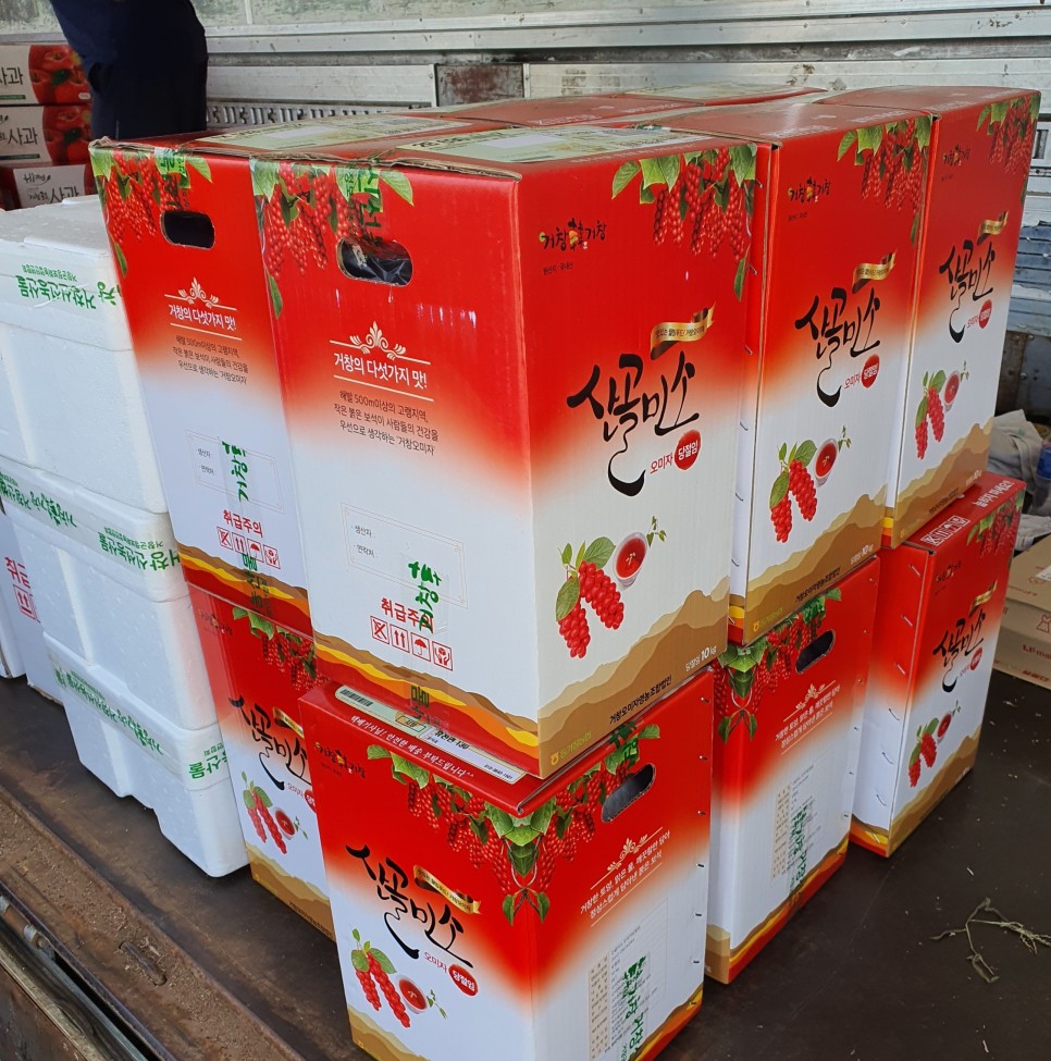 오미자의 오미자(五味子)가 남긴 2021년 8