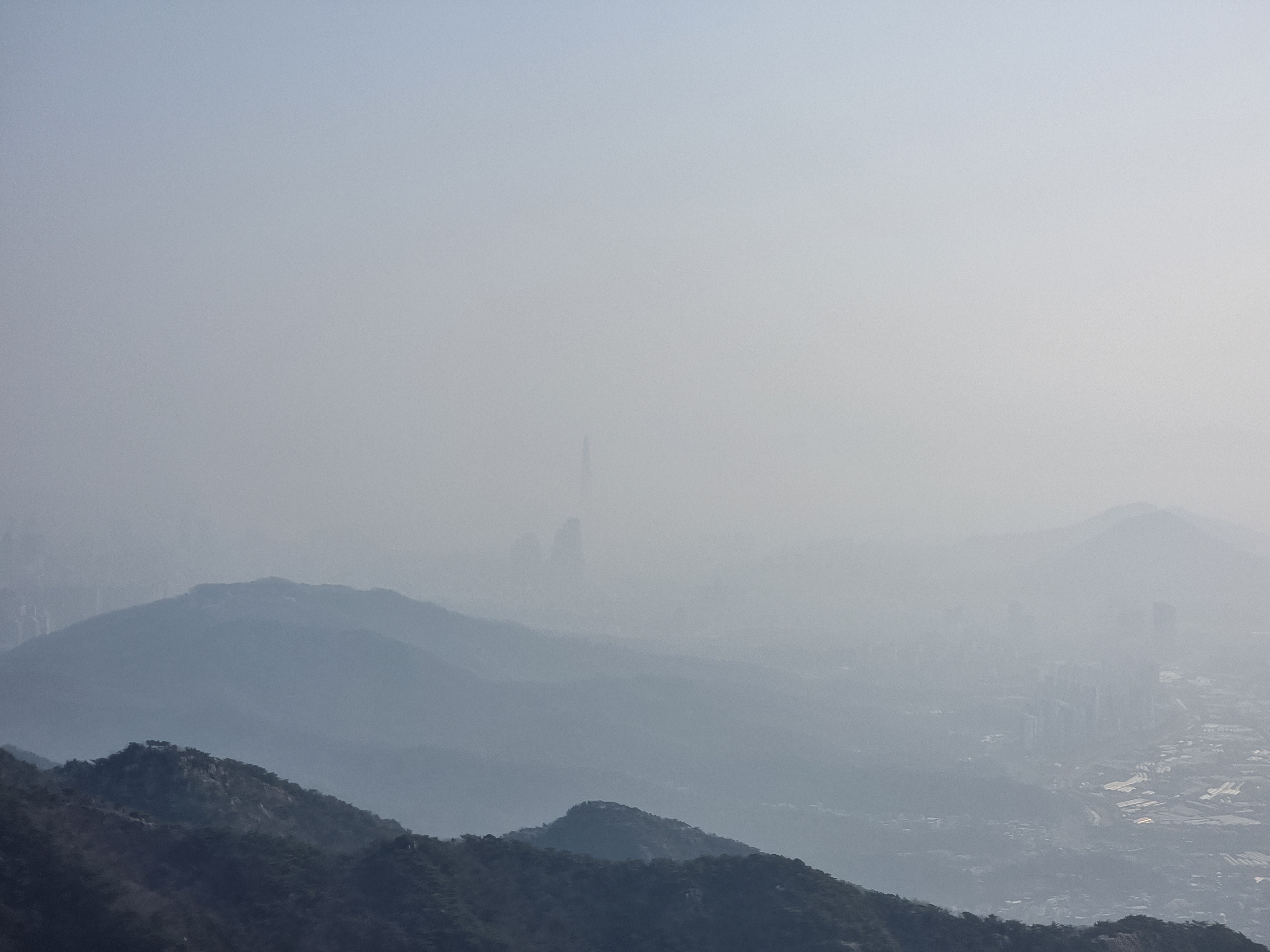 관악산 벚꽃 명소, 서울대공원 벚꽃 시기, 벚꽃 사진 잘 찍는 법, 갤럭시 S21 울트라 후기