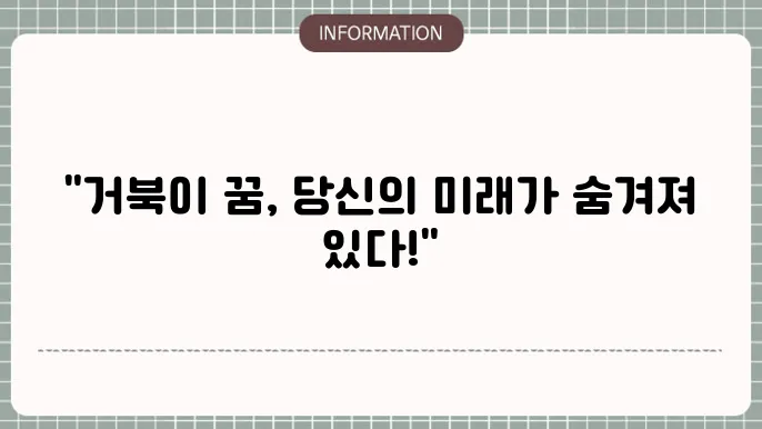 큰거북이꿈 거북이만지는꿈 거북이죽이는꿈 해몽