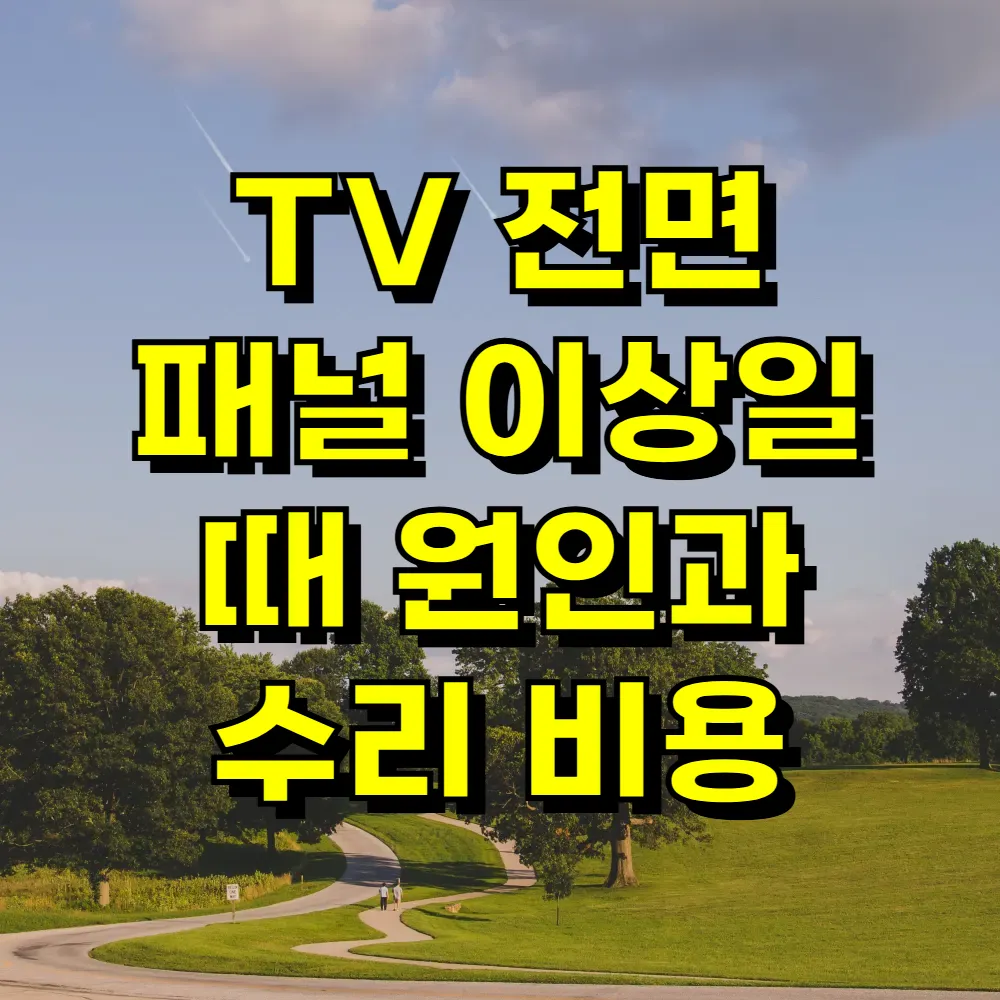 TV 전면 패널 이상일 때 원인과 수리 비용