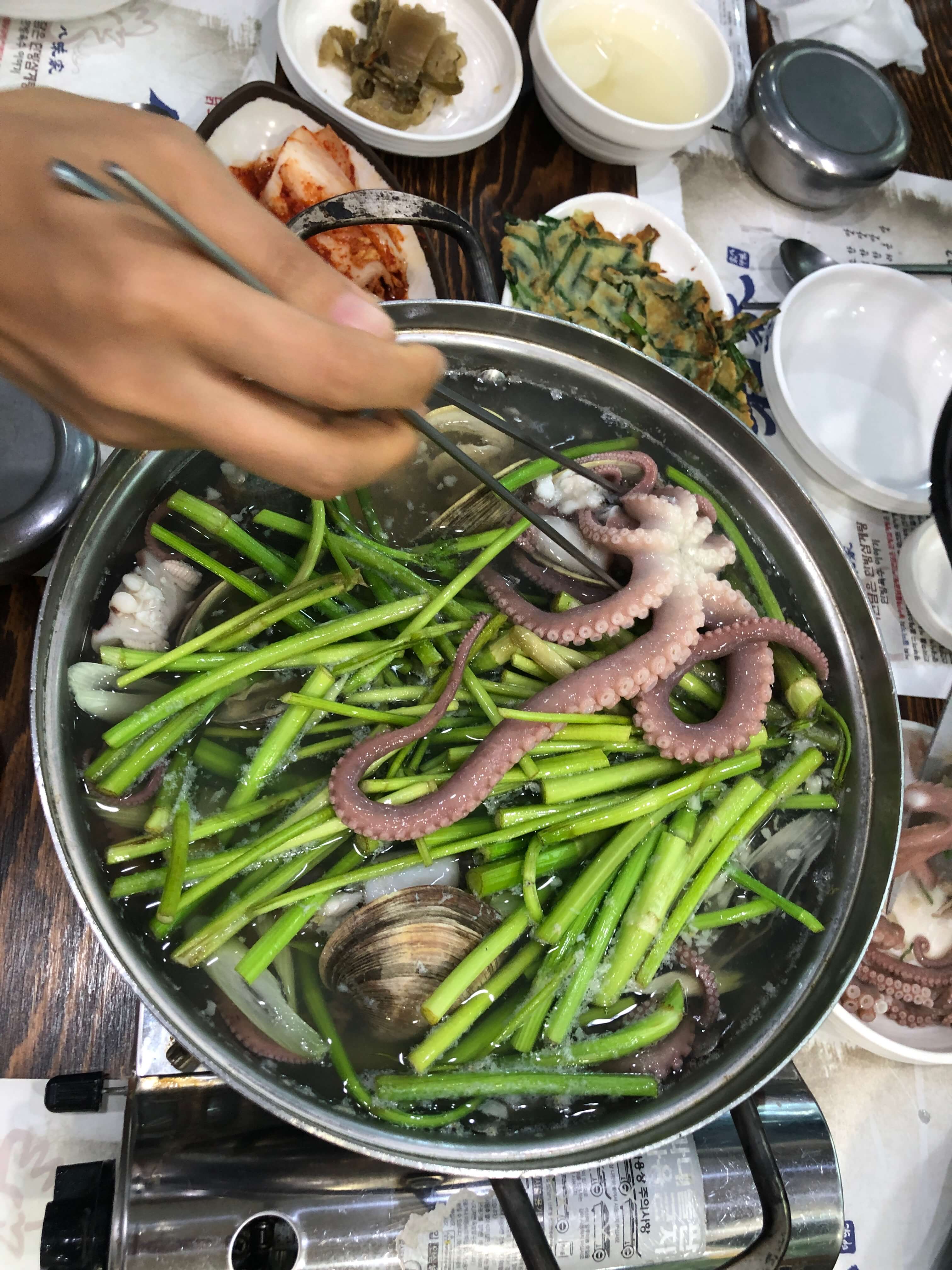 민수랜드-팔미가 연포탕