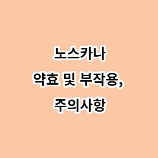 노스카나겔-약효-부작용-주의사항