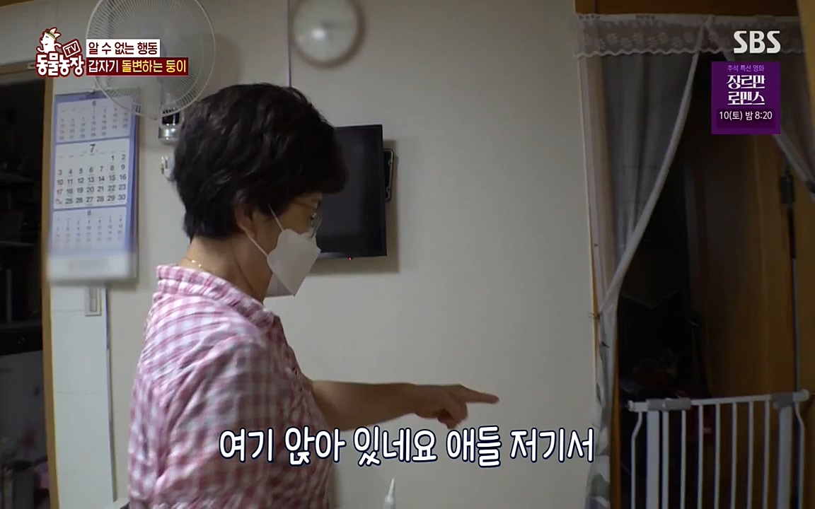 TV 동물농장.E1085.220905p-NEXT.mp4_20220904_173523.149.jpg