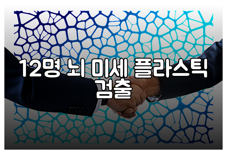 12명 뇌 미세 플라스틱 검출