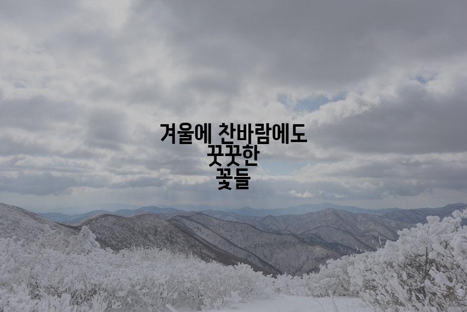 겨울에 찬바람에도 꿋꿋한 꽃들